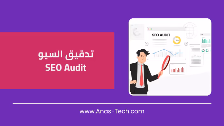 تدقيق السيو (SEO Audit)